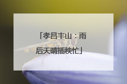 孝昌丰山：雨后天晴插秧忙